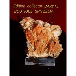 Edition Collector Baryte + coffret chic