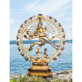 SHIVA Nataraj, 50 cmLaiton, platiné 8kg