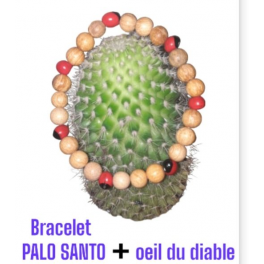 BRACELET EN PALO SANTO + OEIL DU DIABLE