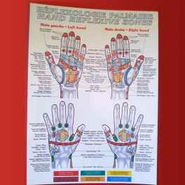 Planche Refflexologie Palmaire 